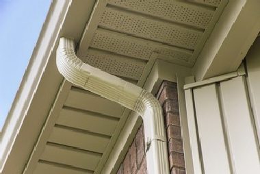 Local Carnation gutter service in WA near 98014