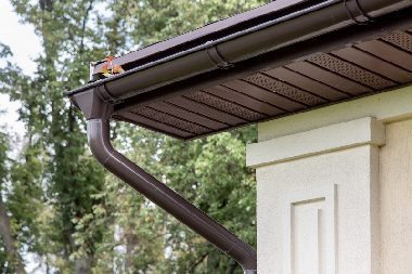 Professional Mountlake Terrace gutter services in WA near 98043